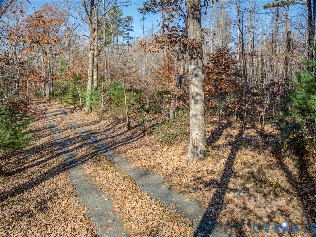 0 Porters Road Esmont, VA 22937 - Photo 3 of 27 a view of a yard
