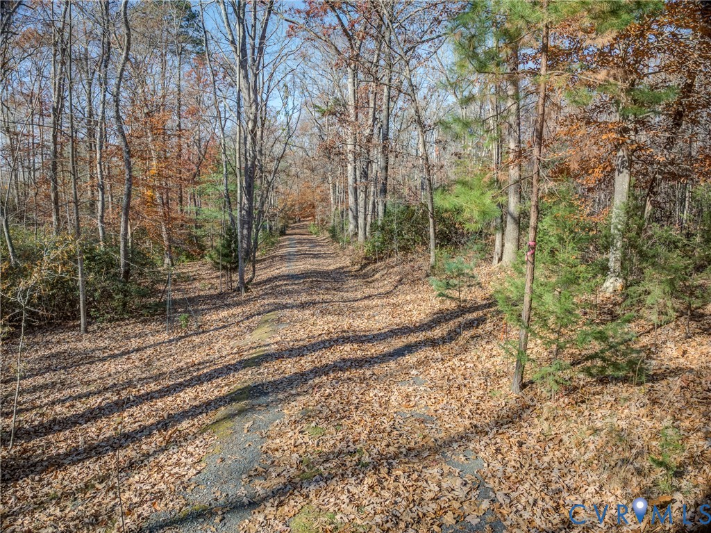 0 Porters Road Esmont, VA 22937 - Photo 5 of 27 a view of a yard with large trees