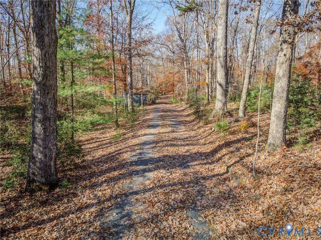 0 Porters Road Esmont, VA 22937 - Photo 7 of 27 a view of yard with trees