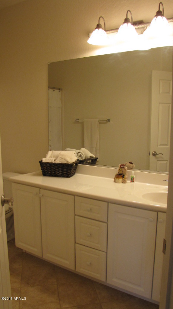 16007 West Pima Street Goodyear, AZ 85338 - Photo 12 of 35 a bathroom with a sink and a mirror