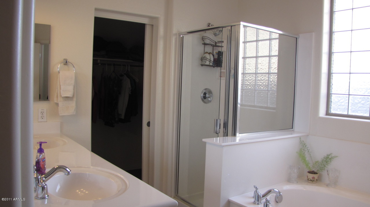 16007 West Pima Street Goodyear, AZ 85338 - Photo 21 of 35 a bathroom with a sink and tub