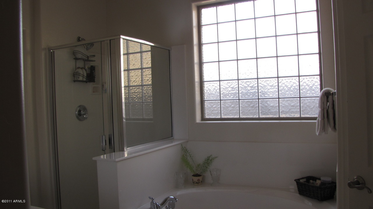 16007 West Pima Street Goodyear, AZ 85338 - Photo 22 of 35 a bathroom with a window and a shower