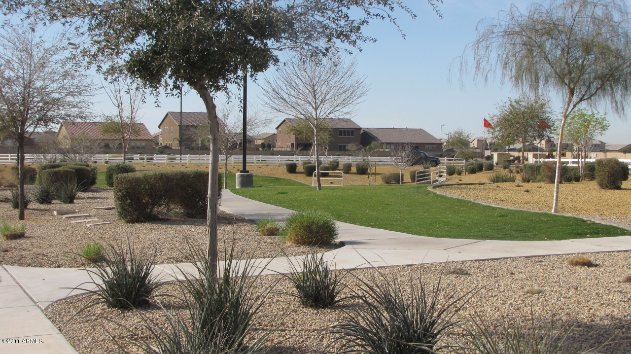 16007 West Pima Street Goodyear, AZ 85338 - Photo 32 of 35 a front view of a house with garden and trees