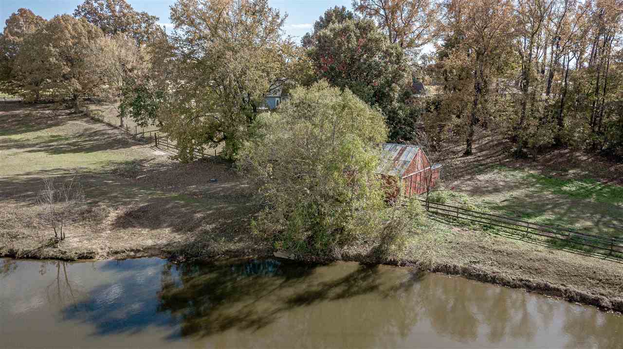 969 McQuiston Road Brighton, TN 38011 - Photo 7 of 25 a view of a lake from a yard