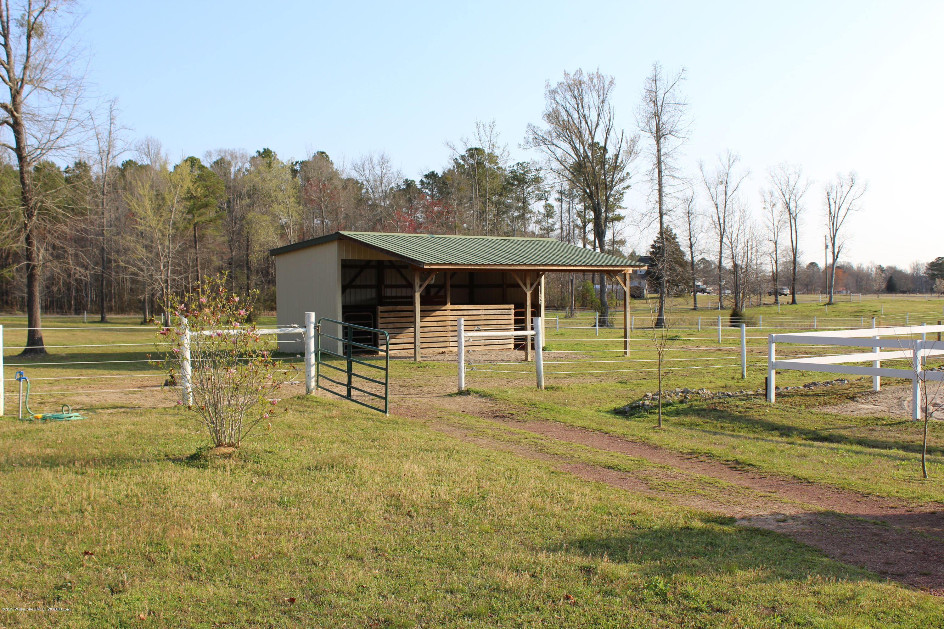 141 Allen Road Nauvoo, AL 35578 - Photo 16 of 17 Gallery Image 16