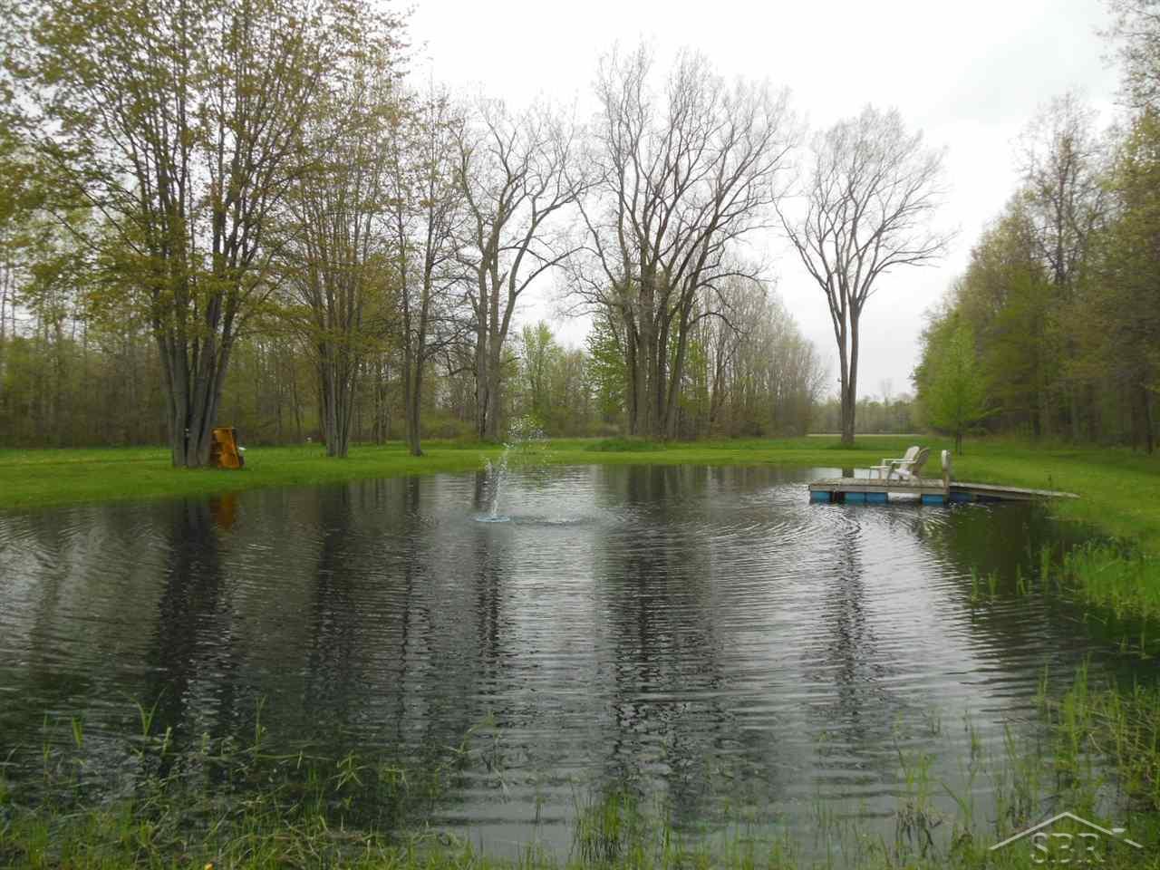 19654 West Burt Road Brant, MI 48614 - Photo 30 of 30 Stocked with fish