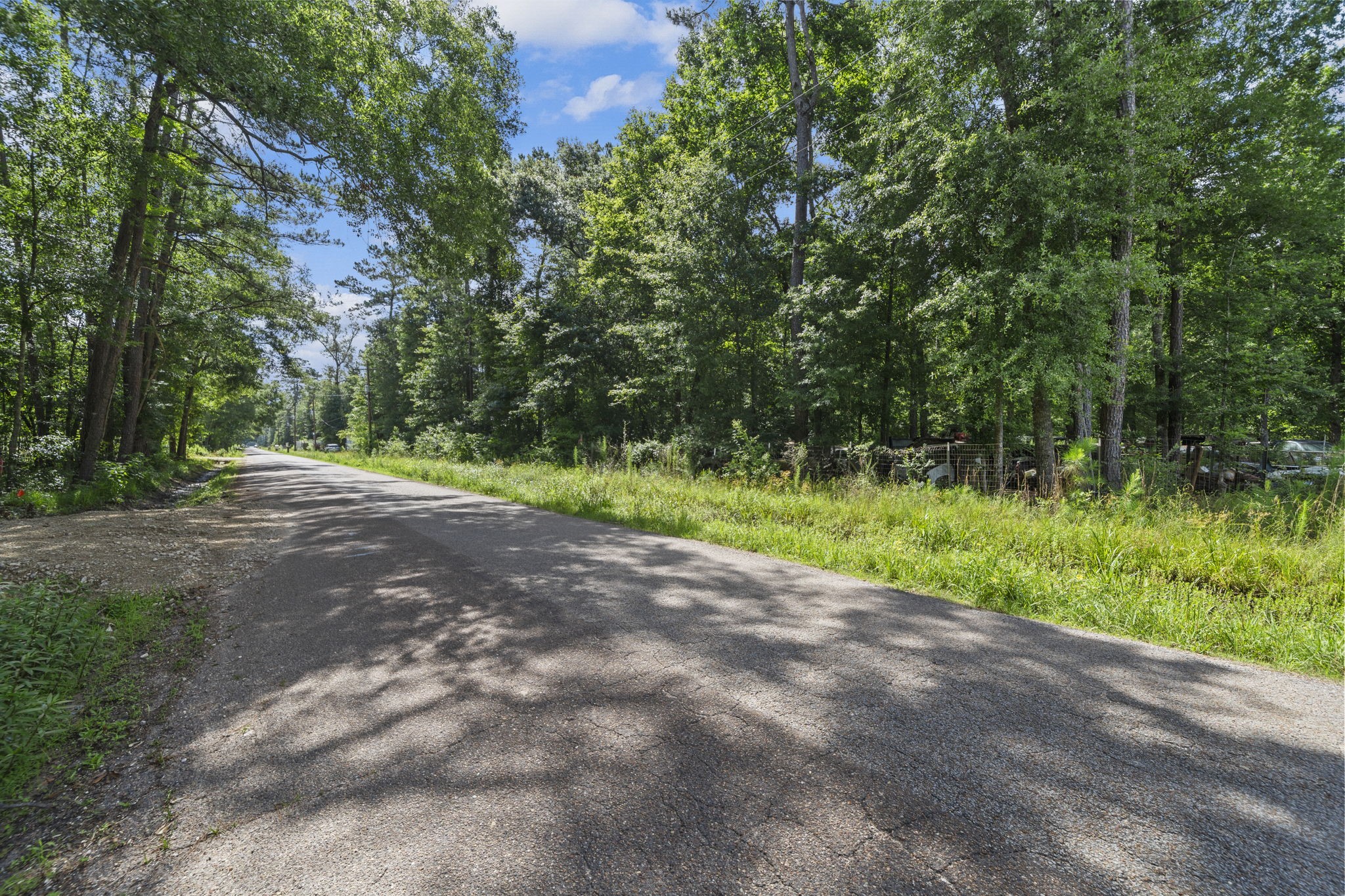 15597 Westgate Road Splendora, TX 77372 - Photo 1 of 14 Roadside Approach - Street-level view shows the quiet, tree-lined road setting and the natural wooded edge along the property area.