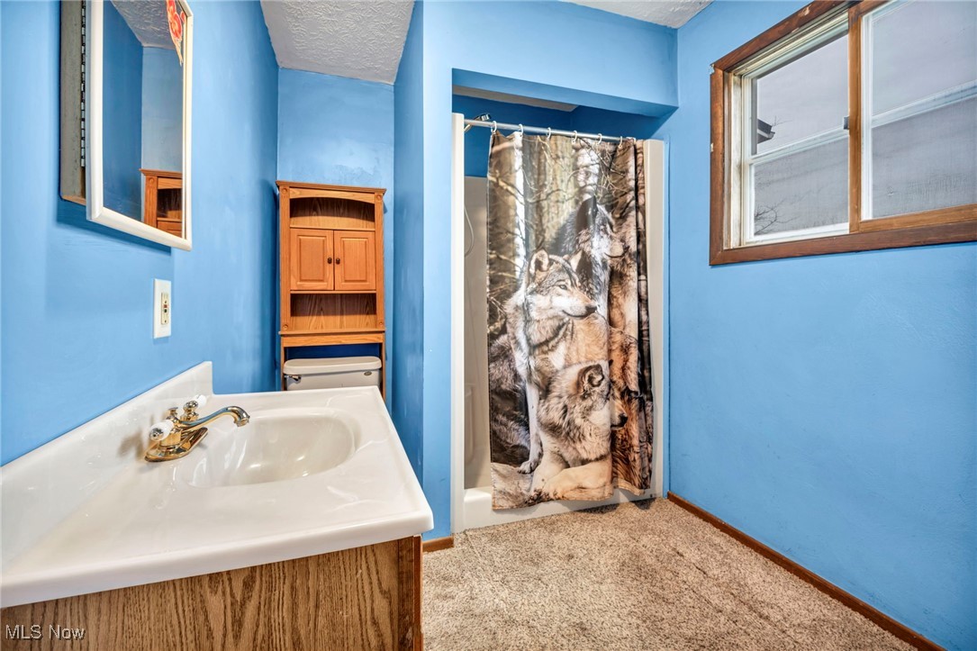 9982 Crow Road Litchfield, OH 44253 - Photo 41 of 41 Bathroom with a shower with curtain, vanity, and a textured ceiling