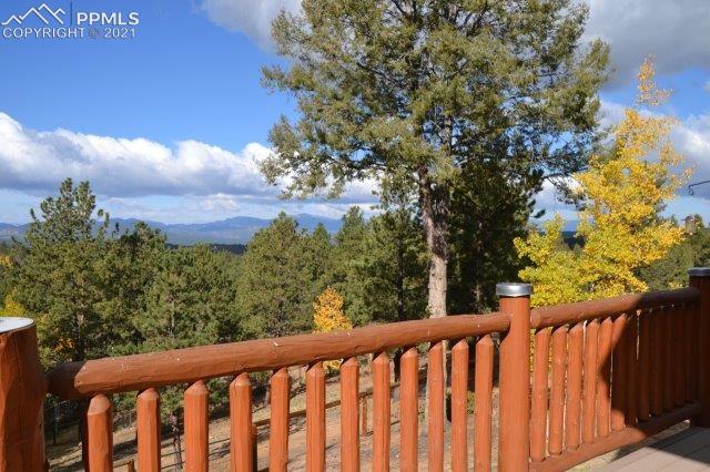 1115 Splendor Point Divide, CO 80814 - Photo 6 of 40