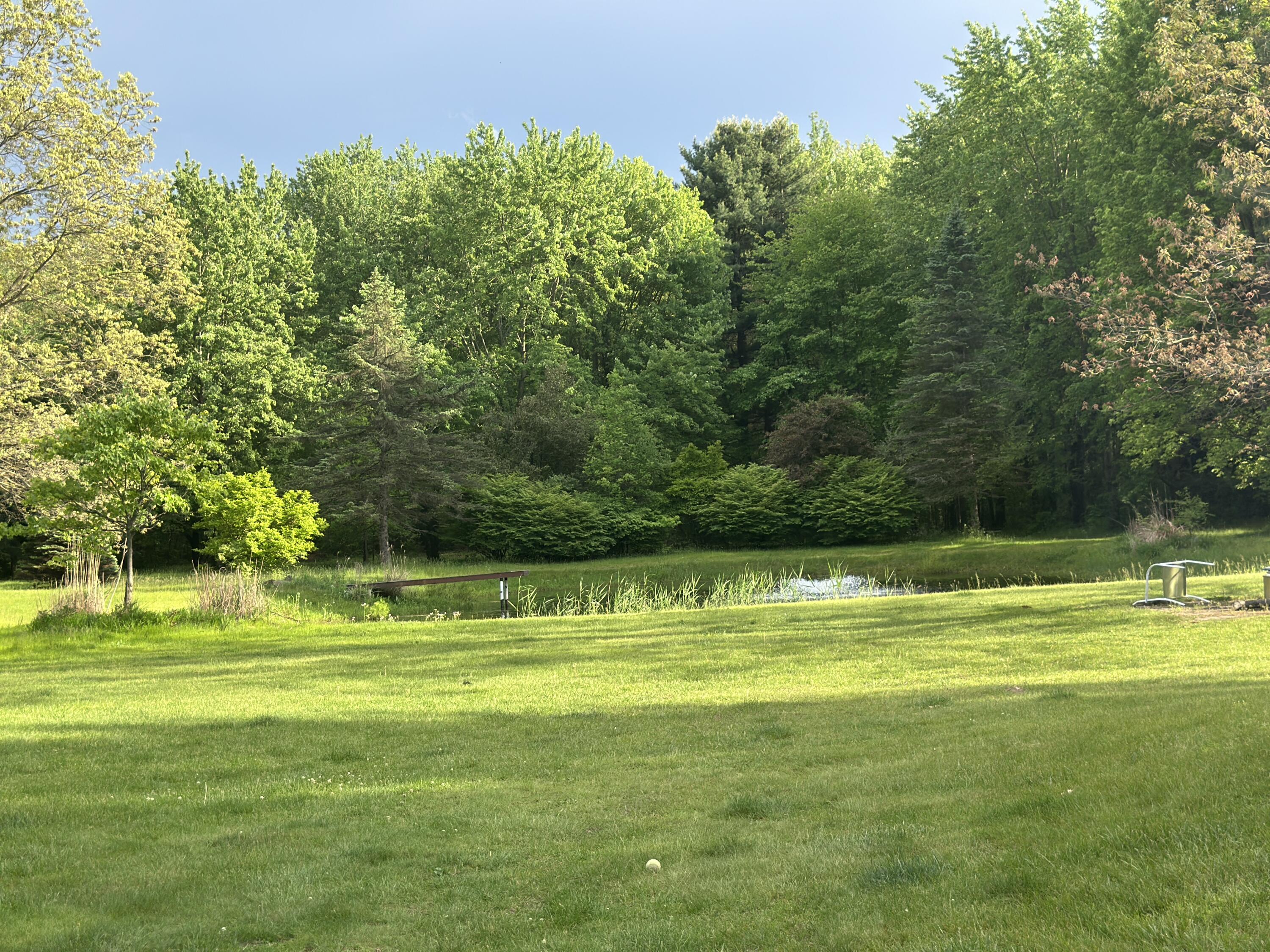 9868 Willow Road Willis, MI 48191 - Photo 132 of 146 IMG_0015
