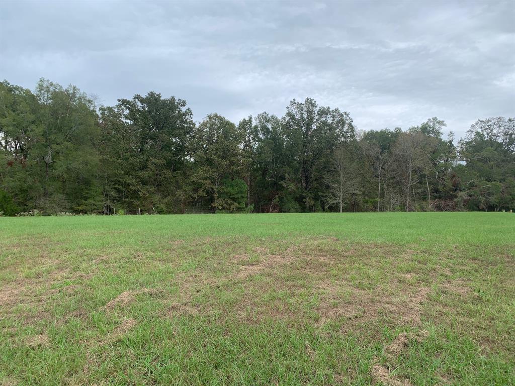 52 Copper Court, Unit 31 Haughton, LA 71037 - Photo 2 of 3 a view of a field of grass and trees