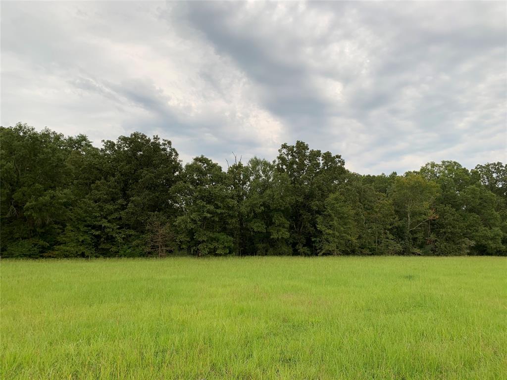 52 Copper Court, Unit 31 Haughton, LA 71037 - Photo 3 of 3 a view of outdoor space and yard