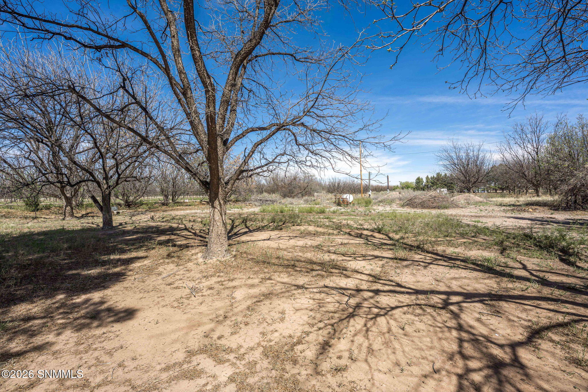 215 Polvadera Avenue Rincon, NM 87940 - Photo 46 of 74 45-web-or-mls-Snappin Homes (Polvadera21