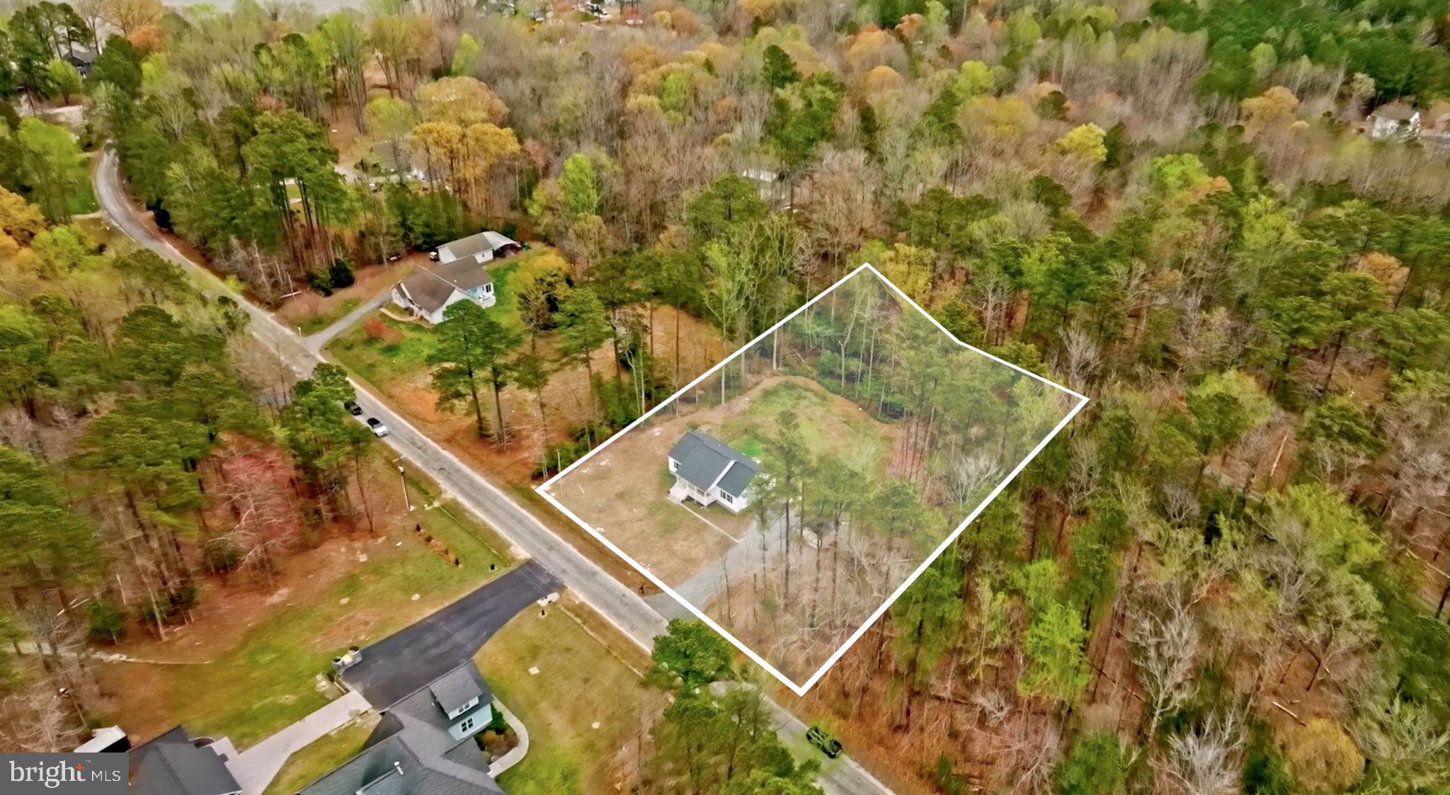 300 River Oaks Road Center Cross, VA 22437 - Photo 39 of 39 Serene wooded lot with potential.
