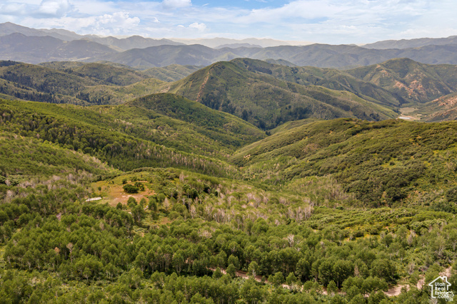 2029 West Tollgate Road Coalville, UT 84017 - Photo 4 of 43 View of mountain background with a forest