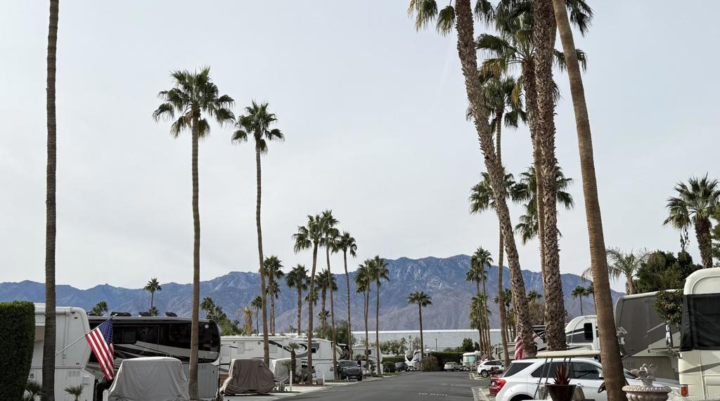 69411 Ramon Road, Unit 91 Cathedral City, CA 92234 - Photo 3 of 9 a view of outdoor space with palm trees