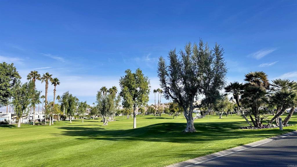 69411 Ramon Road, Unit 91 Cathedral City, CA 92234 - Photo 6 of 9 a view of a park
