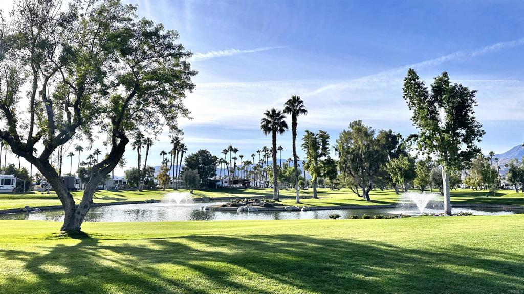 69411 Ramon Road, Unit 91 Cathedral City, CA 92234 - Photo 7 of 9 a view of swimming pool with palm trees