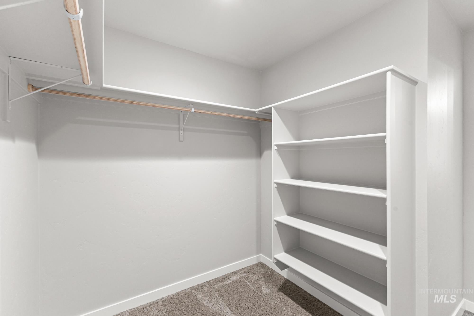 1436 Long Pond Street Middleton, ID 83644 - Photo 23 of 24 Walk in closet with carpet floors
