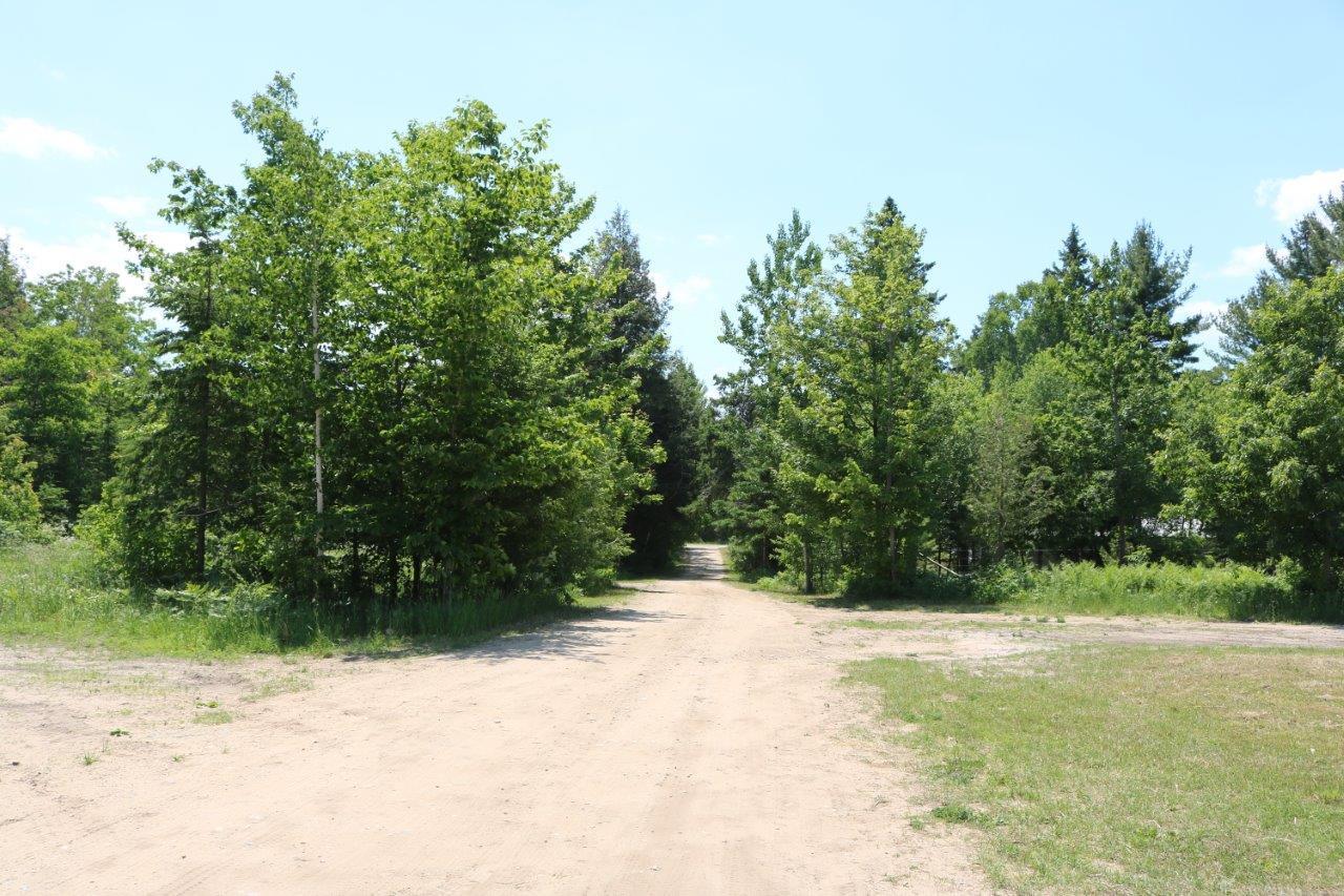 10722 North Black River Road Cheboygan, MI 49721 - Photo 18 of 24 Gallery Image 18