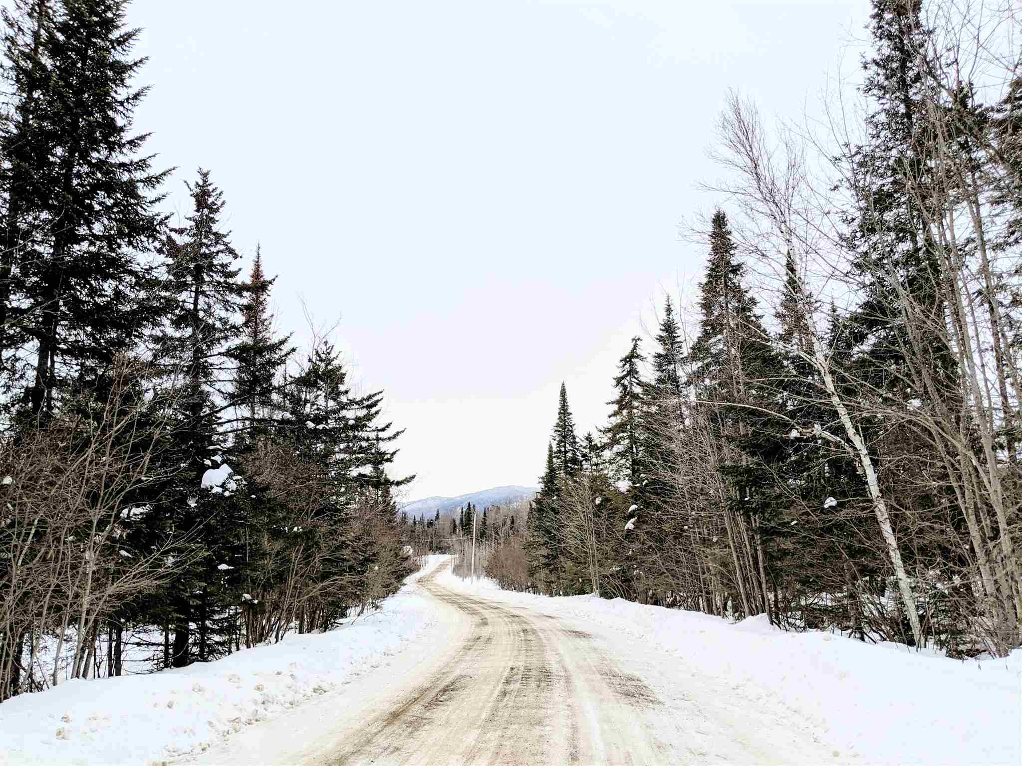 31.5-ac Cheney Road Lowell, VT 05847 - Photo 1 of 13