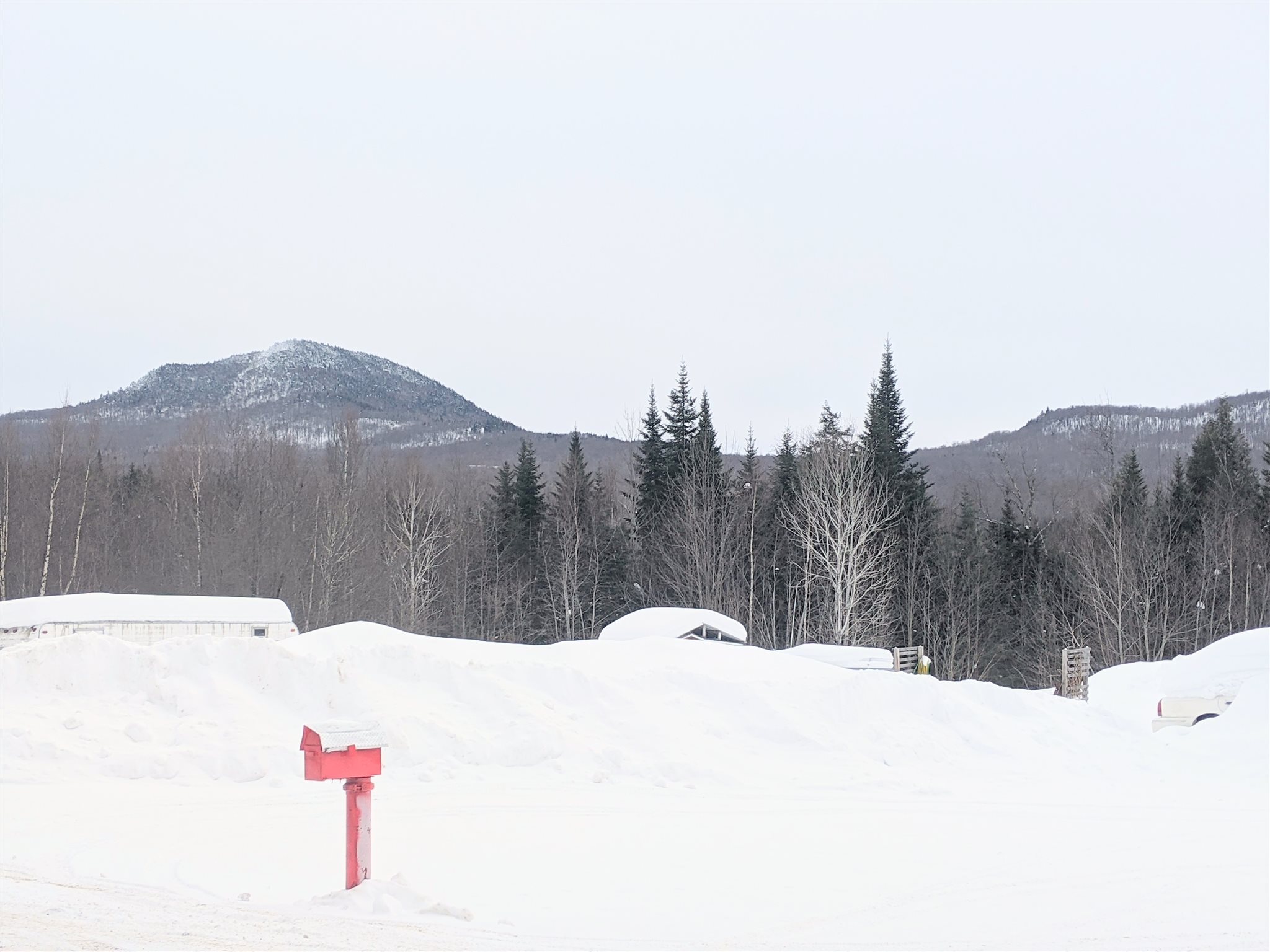 31.5-ac Cheney Road Lowell, VT 05847 - Photo 6 of 13