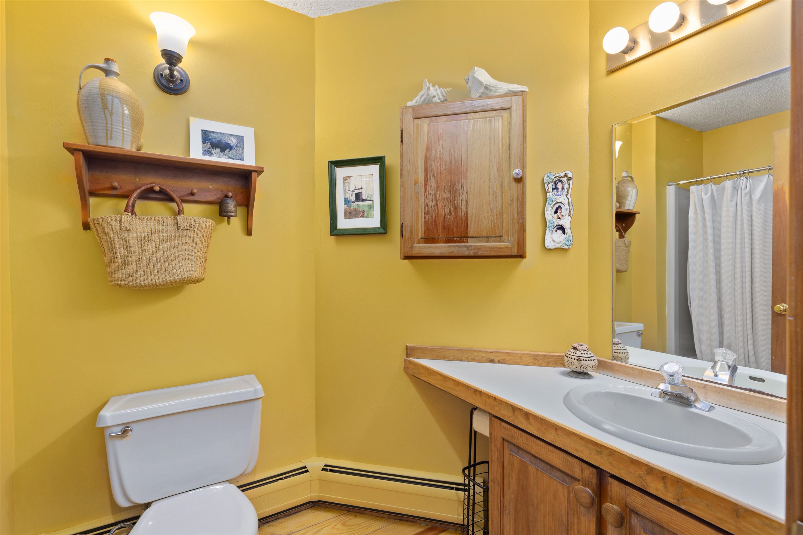 352 Edwins Pond Road Rochester, VT 05767 - Photo 45 of 59