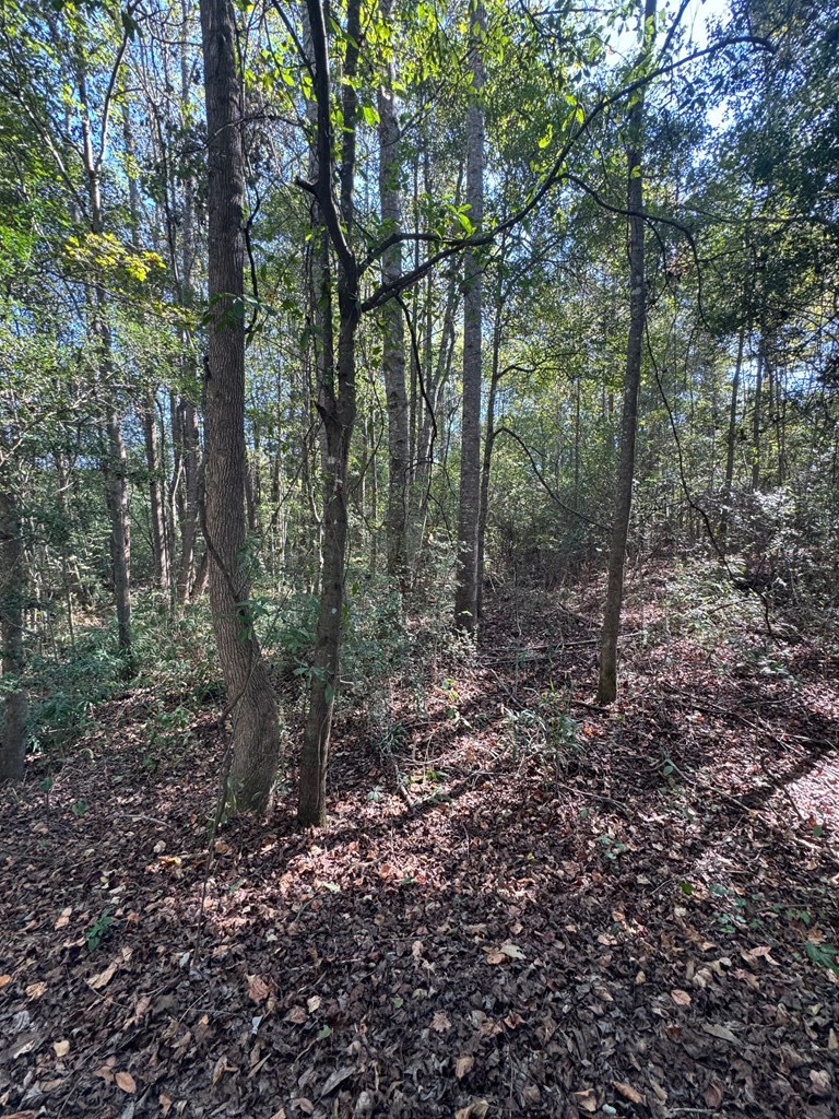 0 Russell Road Samson, AL 36477 - Photo 20 of 32