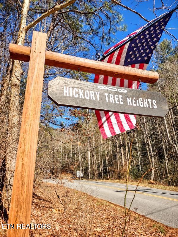 Lot 15 Hickory Tree Street Sevierville, TN 37876 - Photo 2 of 6 image000000 3