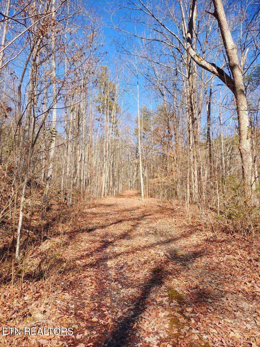 Lot 15 Hickory Tree Street Sevierville, TN 37876 - Photo 3 of 6 image000000 4