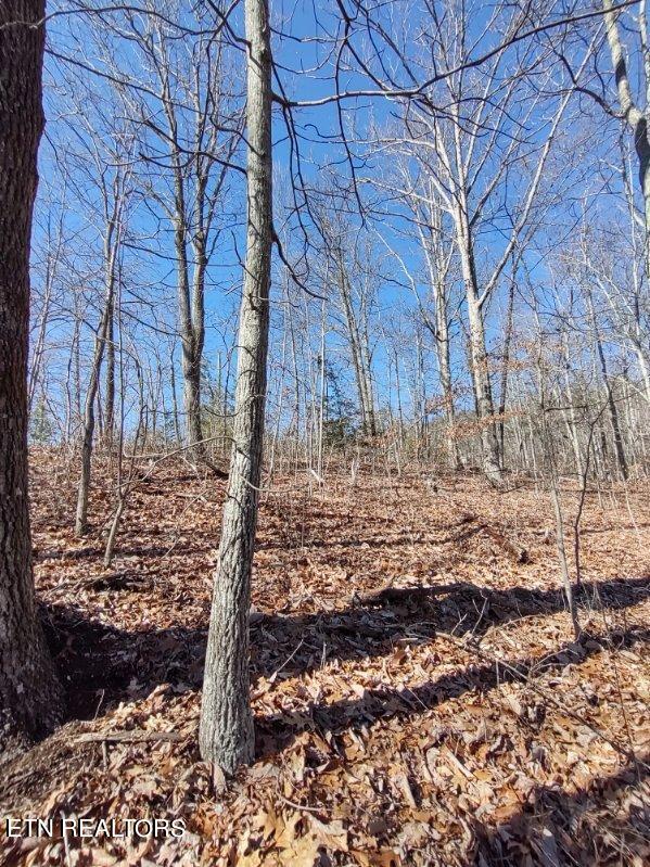 Lot 15 Hickory Tree Street Sevierville, TN 37876 - Photo 4 of 6 image000002 2