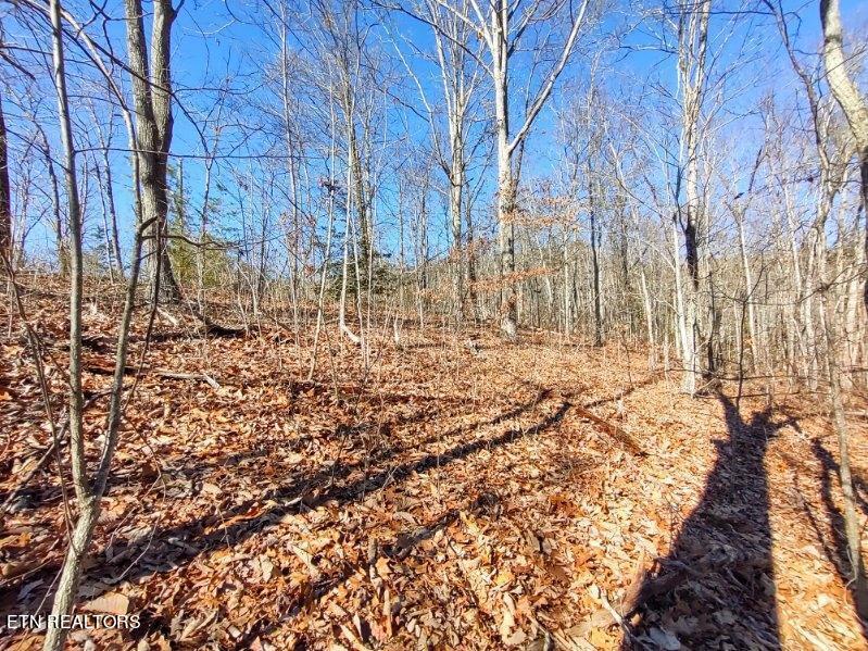 Lot 15 Hickory Tree Street Sevierville, TN 37876 - Photo 6 of 6 image000003 2