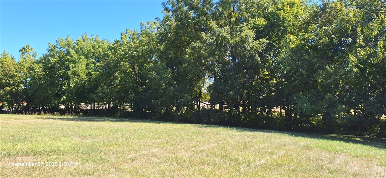 State Street Westville, IL 61883 - Photo 7 of 9