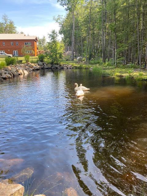 278 Bell Marsh Road York, ME 03909 - Photo 52 of 53 278 Bell Marsh Rd, York