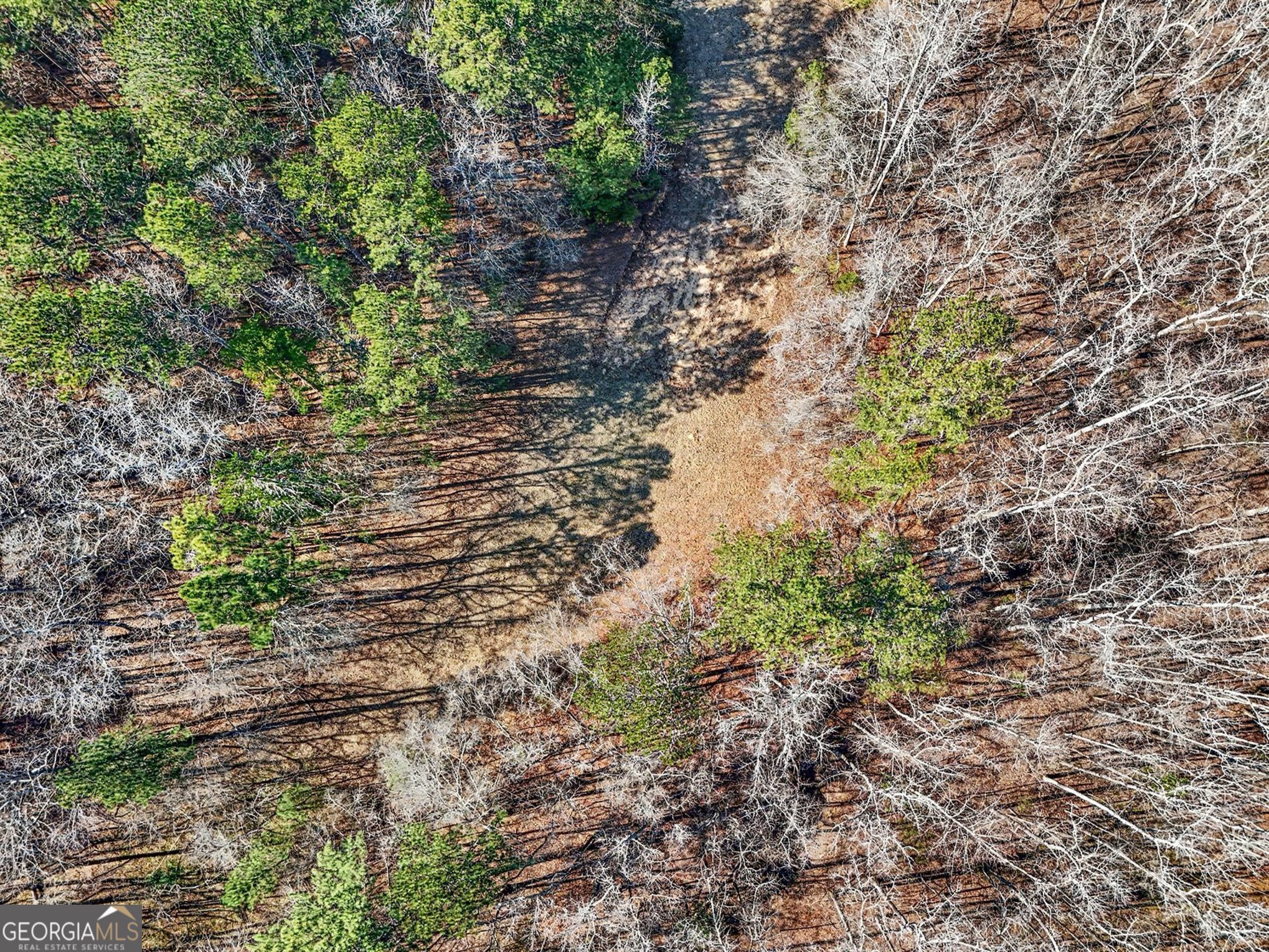 0 Vineyard Road Thomaston, GA 30286 - Photo 16 of 40