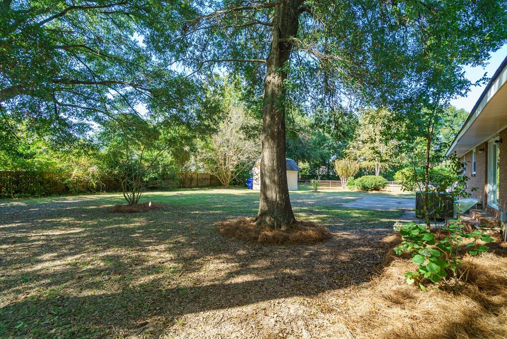 779 Dills Bluff Road Charleston, SC 29412 - Photo 31 of 41 78 (3)