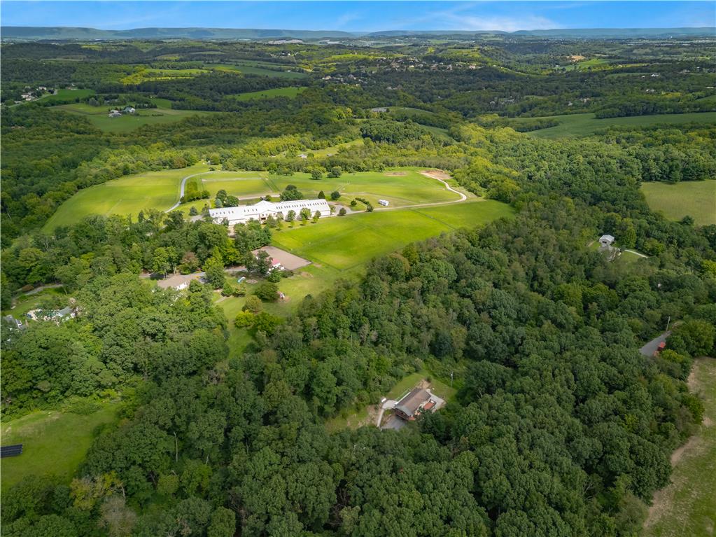 7353 Farrier Road Orefield, PA 18069 - Photo 69 of 74 Rolling green hills and dense woodlands surround this expansive countryside estate.