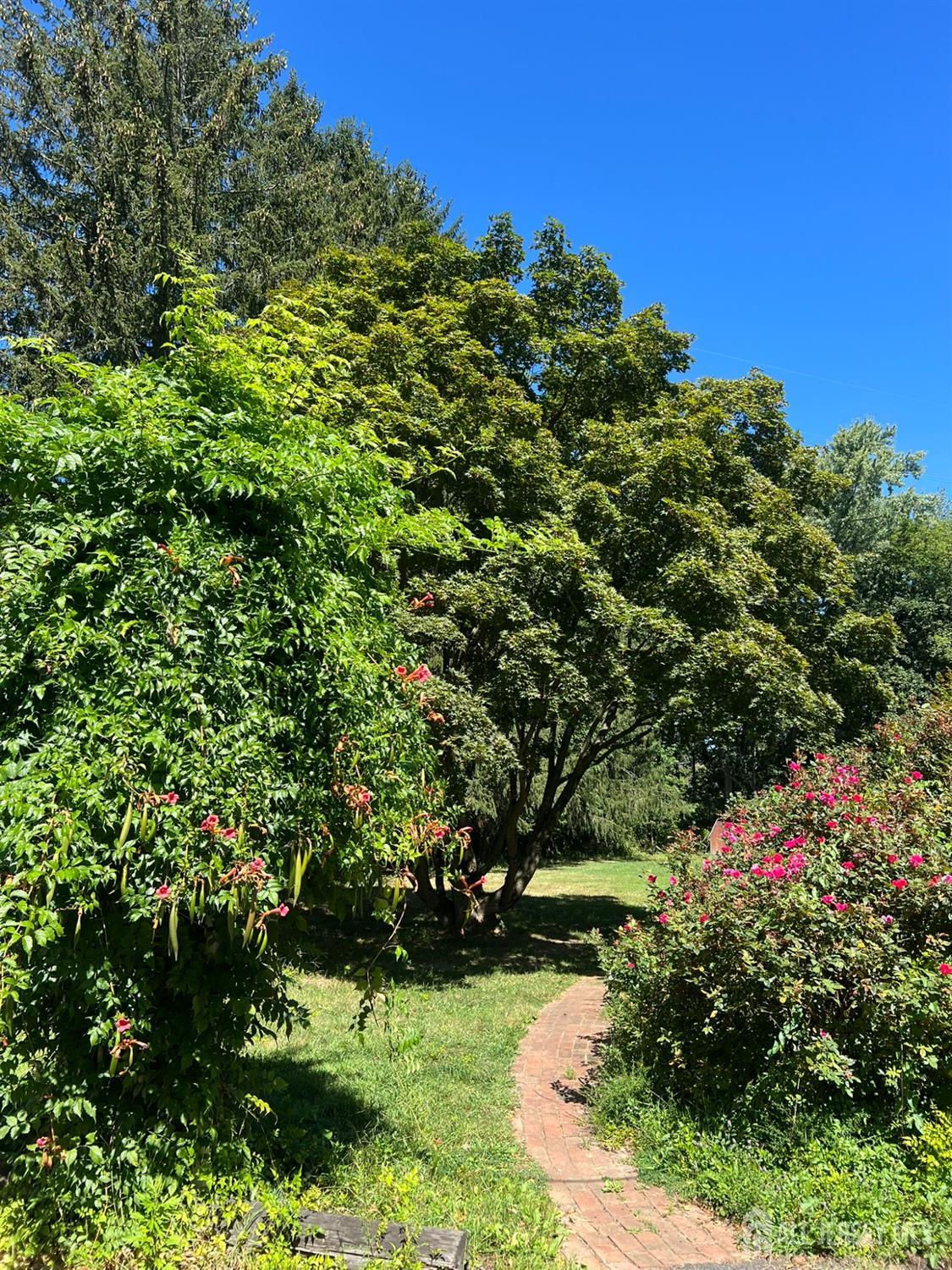 265 Friendship Road Cranbury, NJ 08512 - Photo 11 of 15 a view of a garden with a flower garden