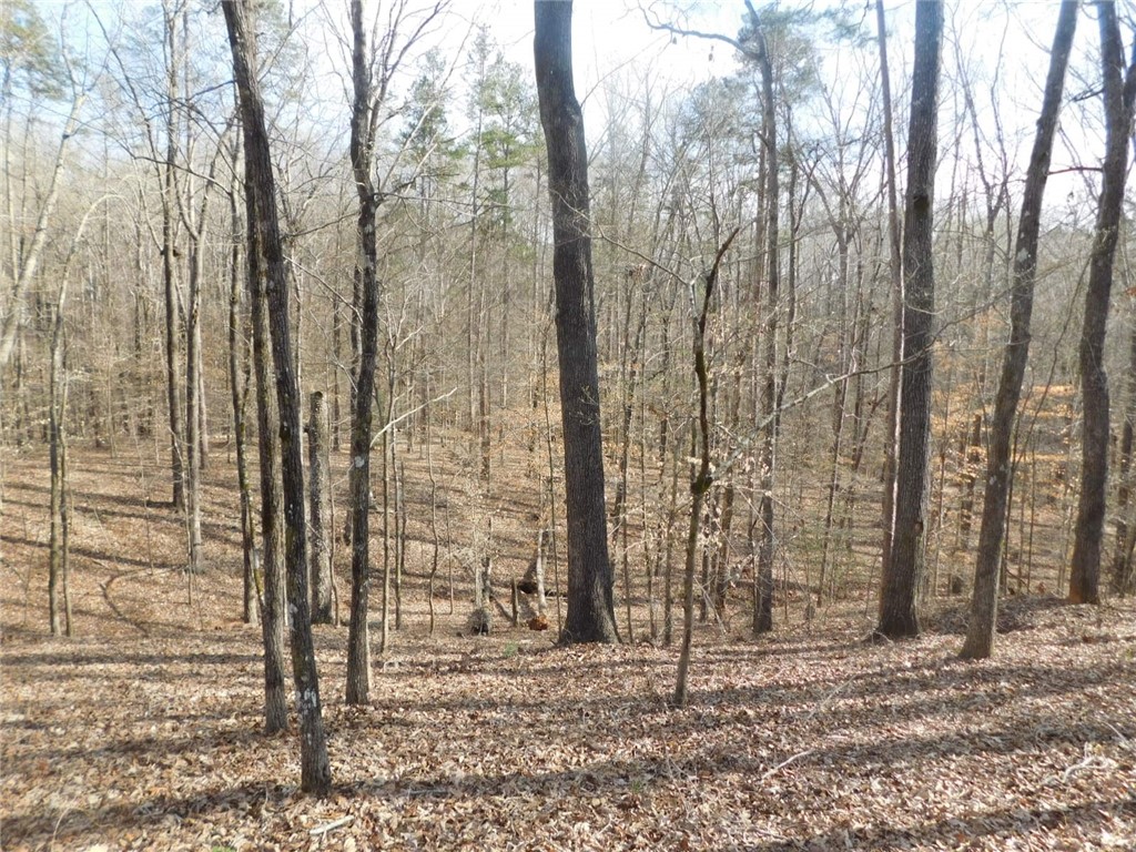 206 Shipmaster Drive Salem, SC 29676 - Photo 3 of 15