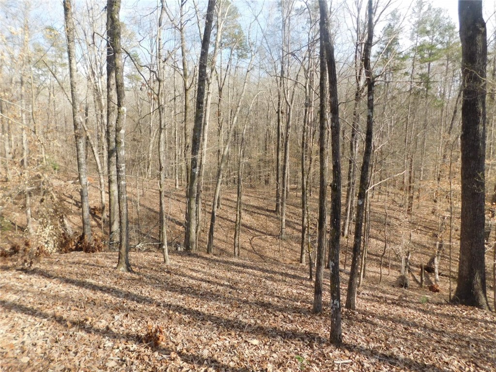 206 Shipmaster Drive Salem, SC 29676 - Photo 4 of 15