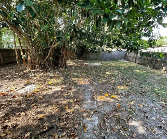 a view of yard with tree in the background