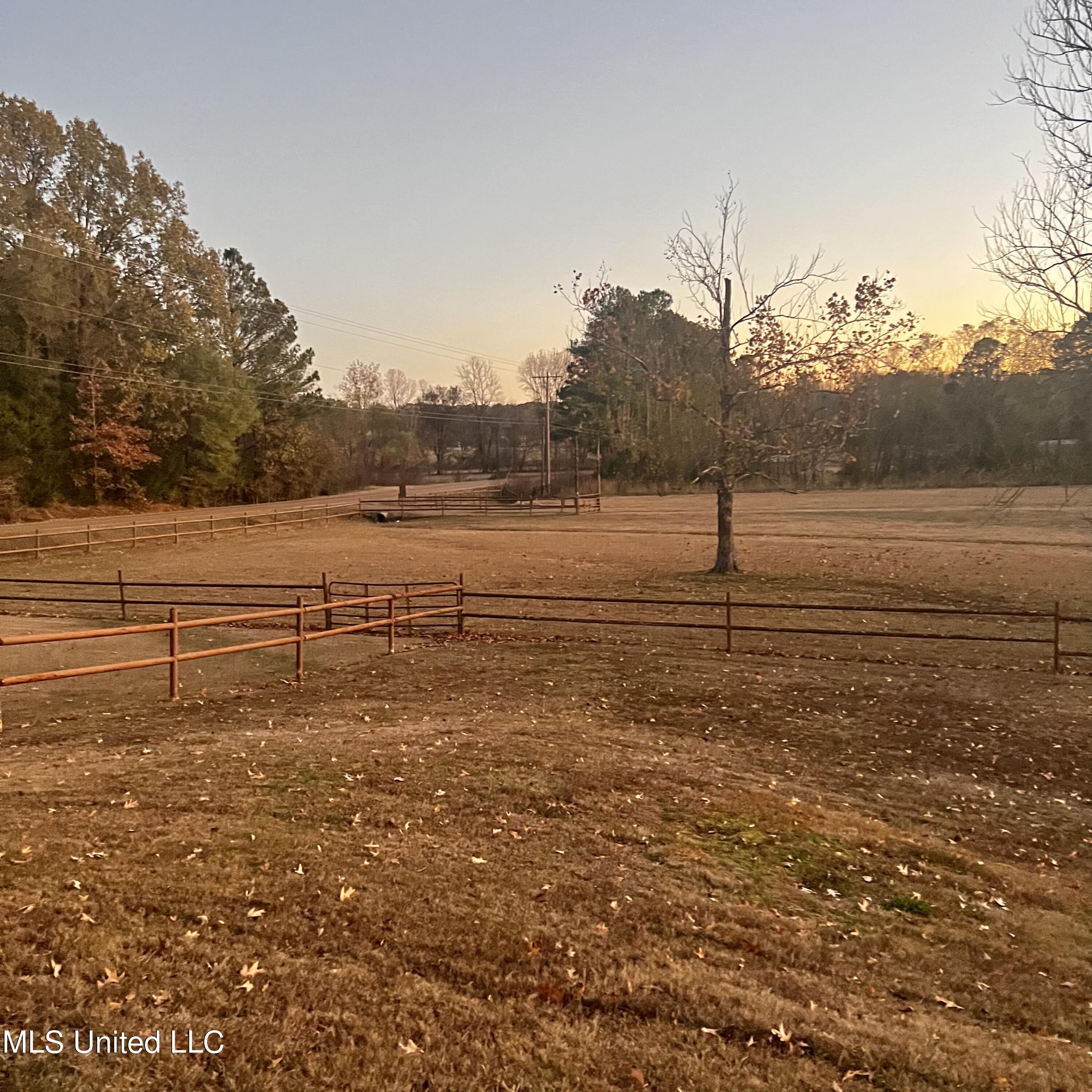 3549 Getwell Road South Hernando, MS 38632 - Photo 3 of 41 South view from back patio
