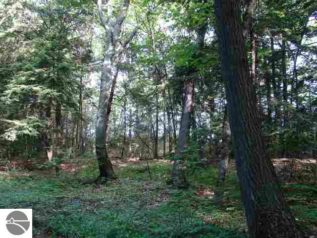 Lot 26 Beach Road Frankfort, MI 49635 - Photo 7 of 15 1736015-6.JPG