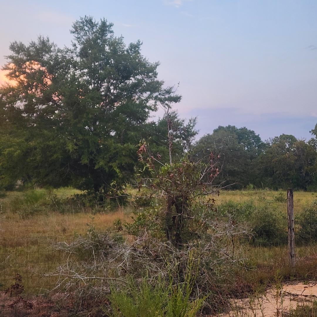 885 Patch Road DeFuniak Springs, FL 32433 - Photo 2 of 5 a view of a lake with mountains in the background