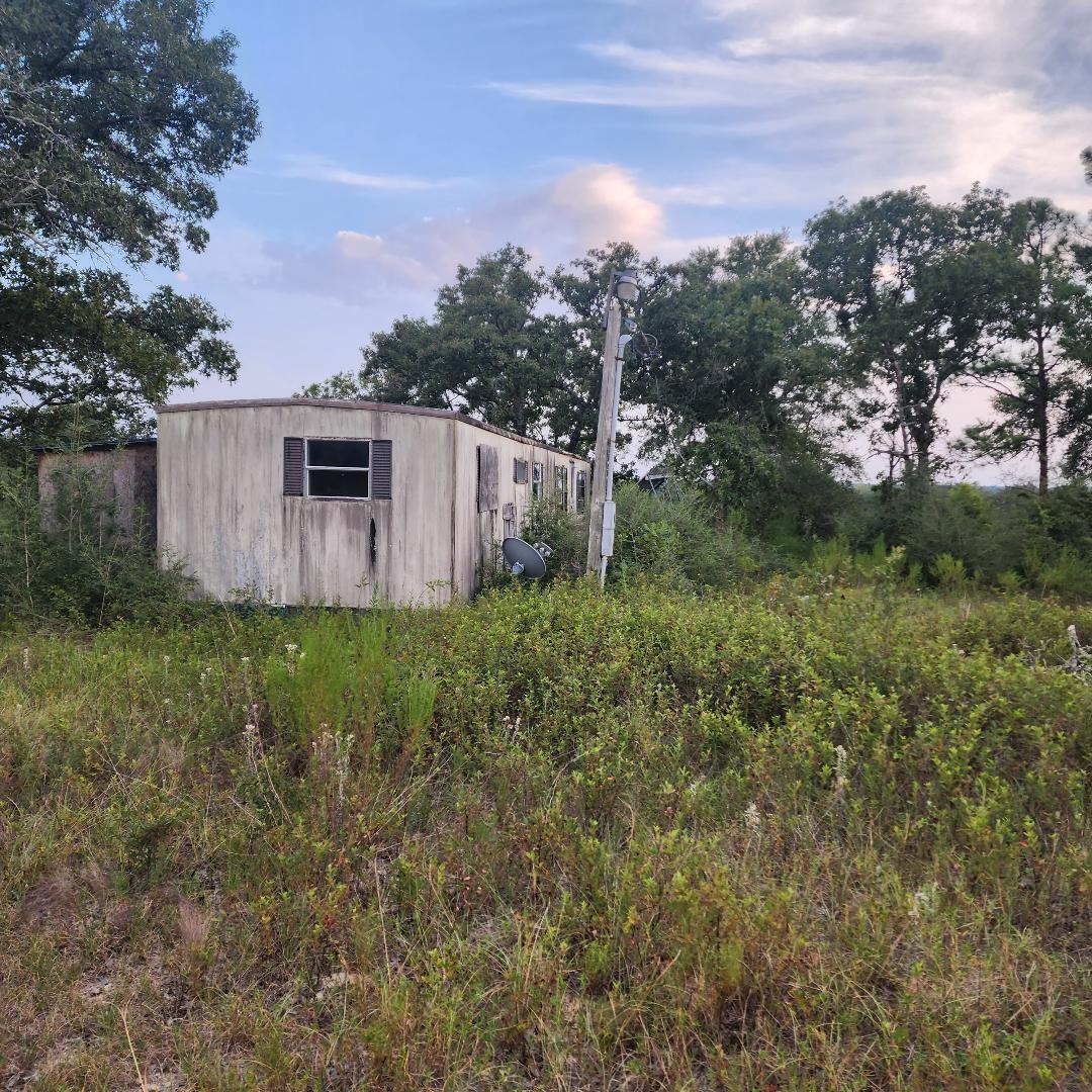 885 Patch Road DeFuniak Springs, FL 32433 - Photo 5 of 5 a view of a backyard with barn plants and large trees