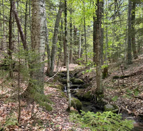 $89,000 | 0 Snell Road, Chester, VT 05143