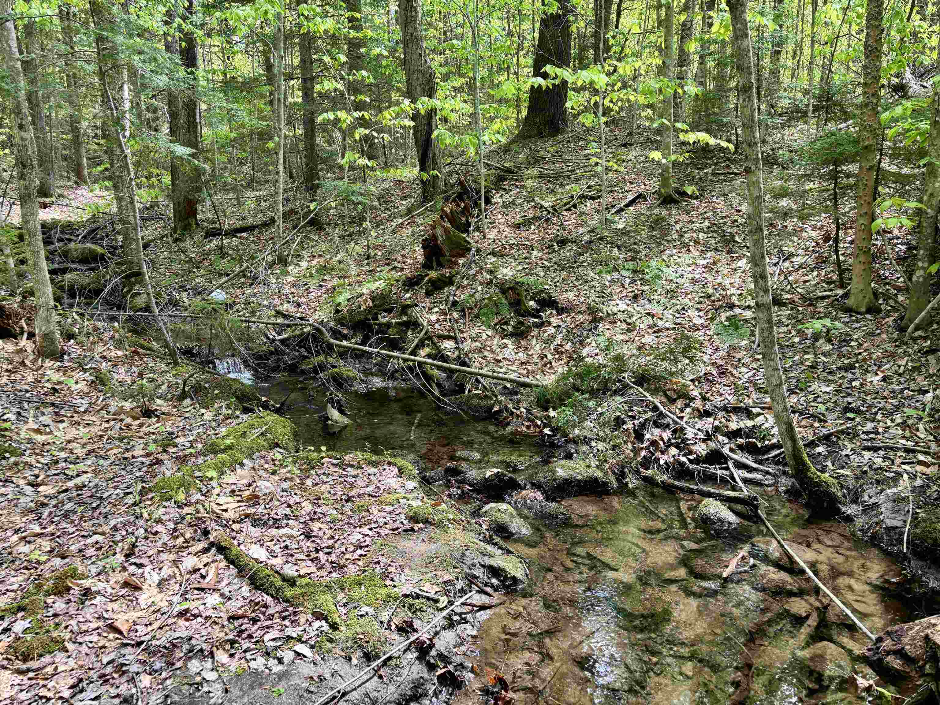 0 Snell Road Chester, VT 05143 - Photo 11 of 24