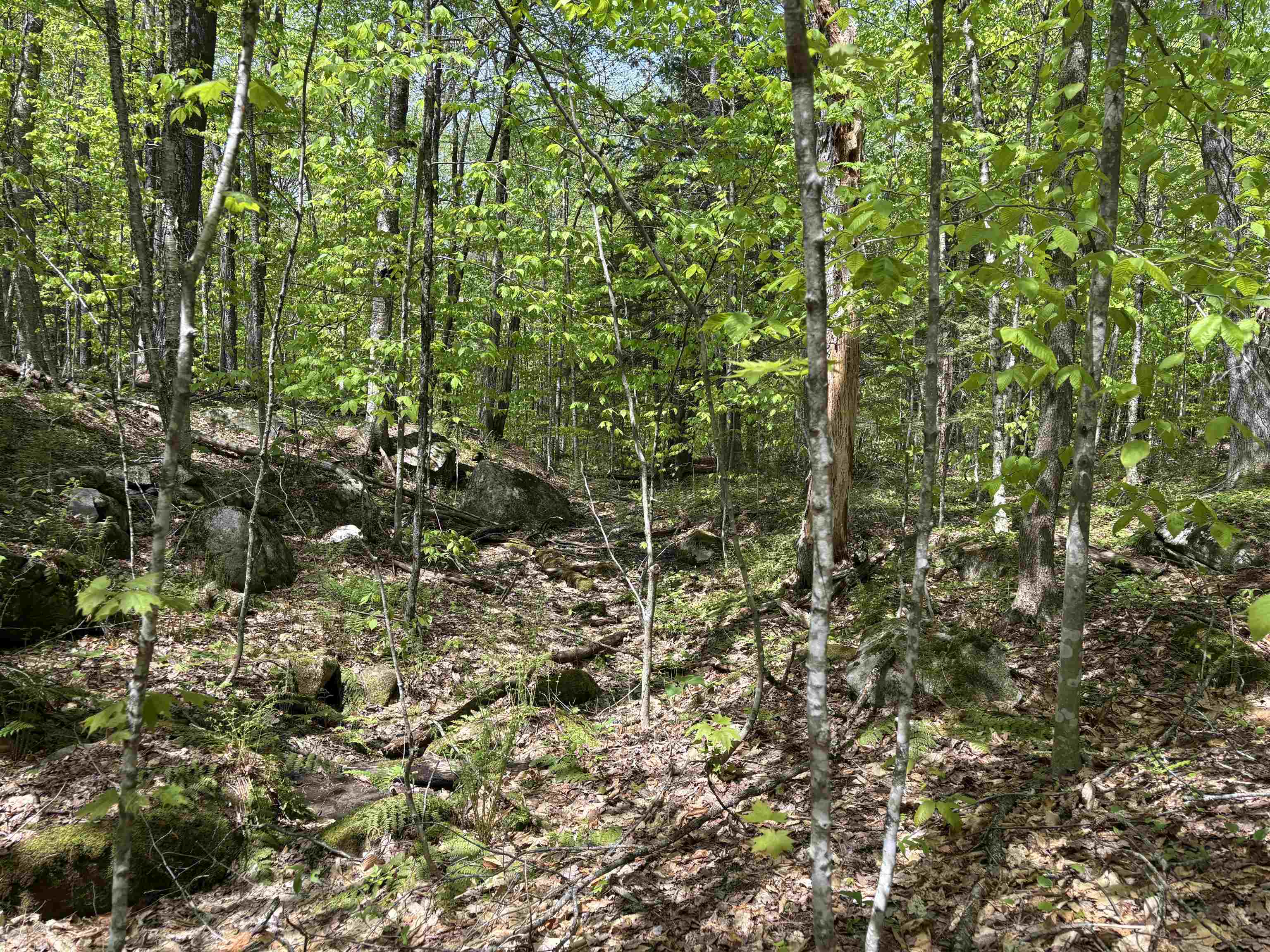 0 Snell Road Chester, VT 05143 - Photo 13 of 24