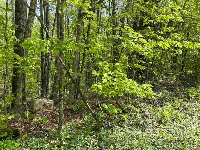 $89,000 | 0 Snell Road, Chester, VT 05143