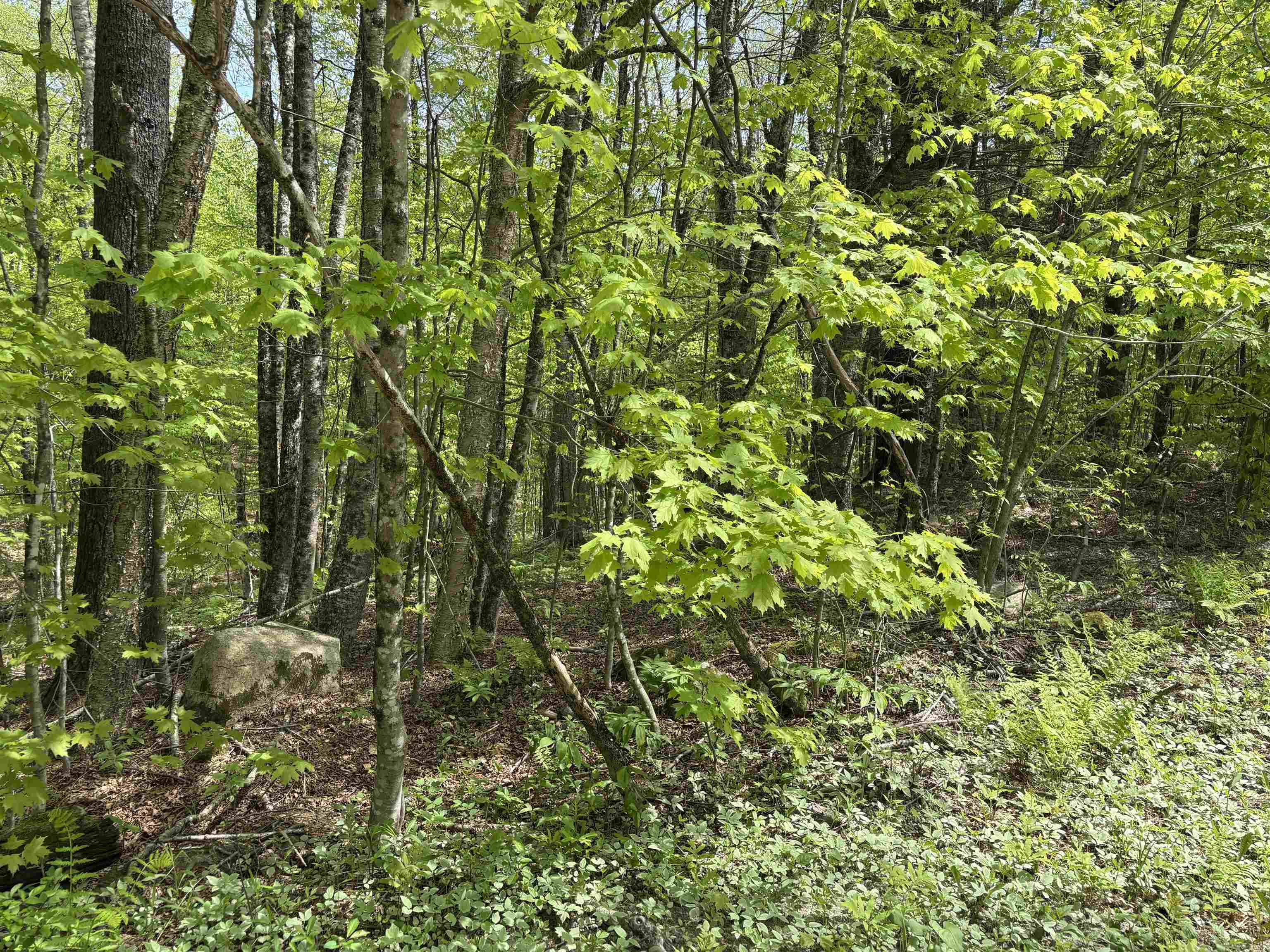 0 Snell Road Chester, VT 05143 - Photo 15 of 24